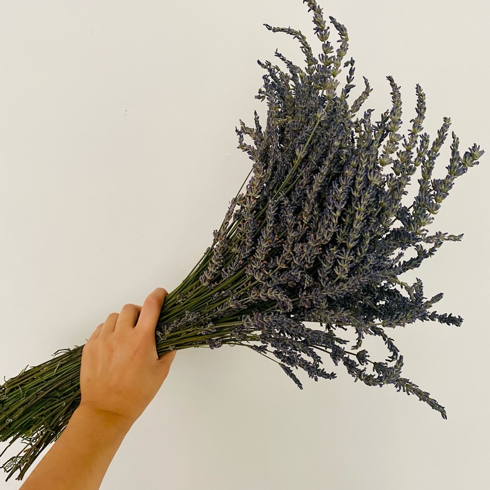 Extra Large Dried Lavender bundle